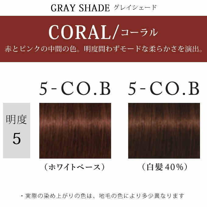 シュワルツコフ テラ by エッセンシティ コーラルブラウン 5-CO.B 85g