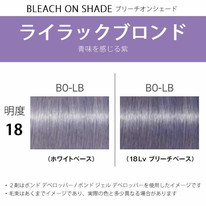 シュワルツコフ ファイバープレックス ボンドカラー BO-LB 80g （第1剤