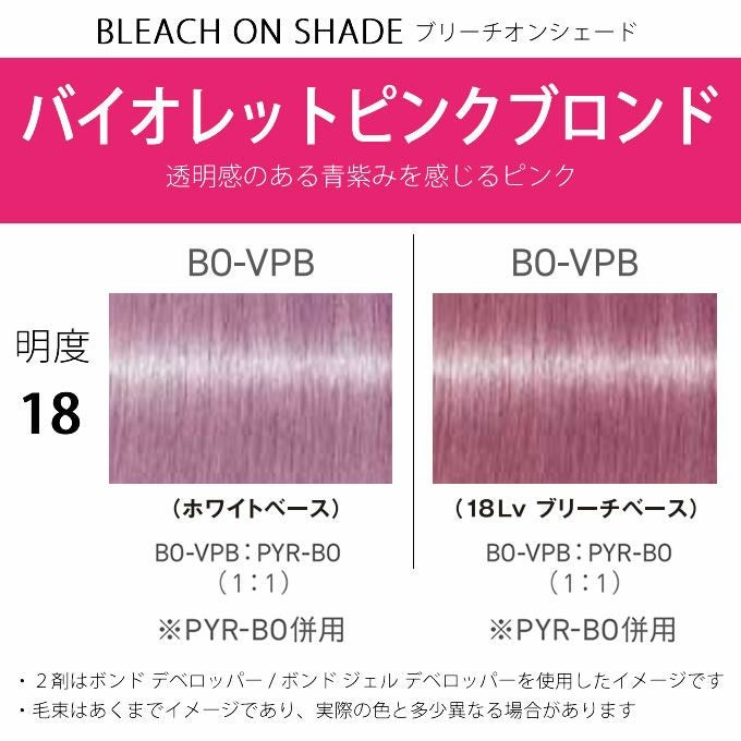 シュワルツコフ ファイバープレックス ボンドカラー BO-VPB 80g （第1