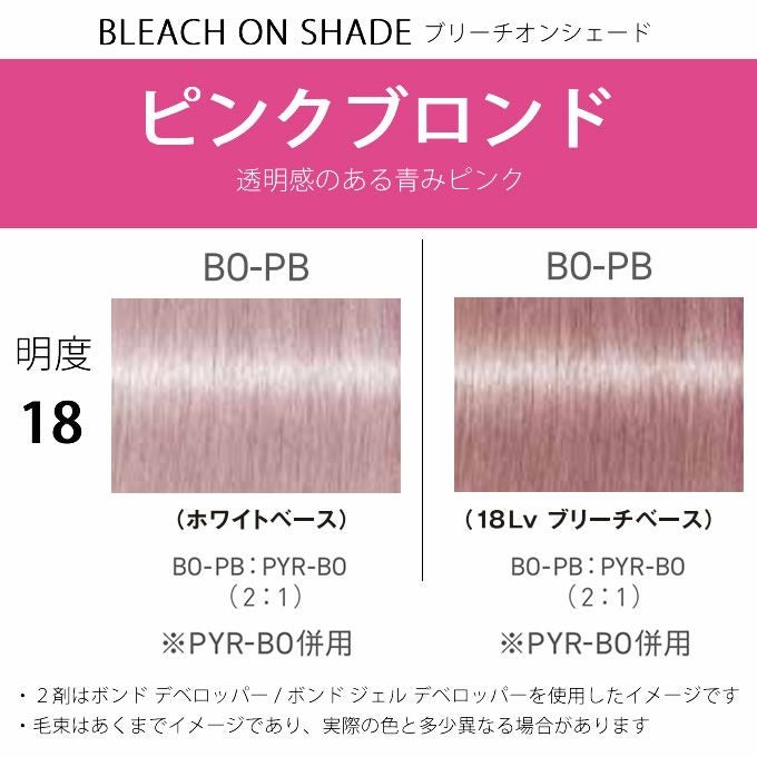 シュワルツコフ ファイバープレックス ボンドカラー BO-PB 80g （第1剤