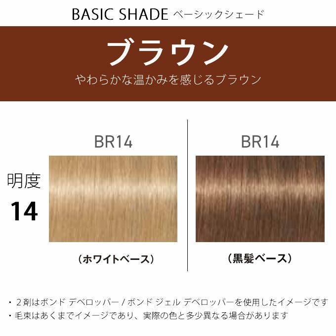 シュワルツコフ ファイバープレックス ボンドカラー BR14 80g （第1剤