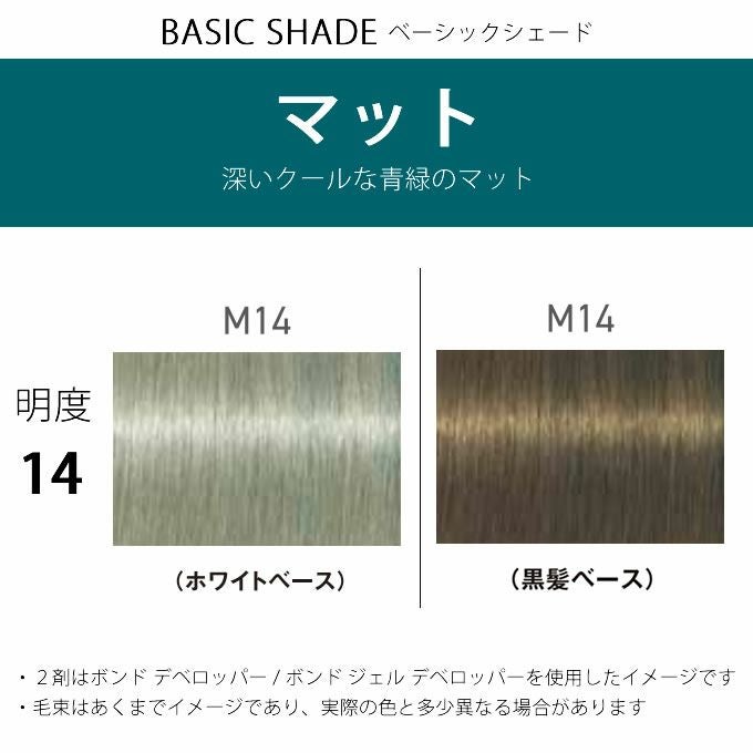シュワルツコフ ファイバープレックス ボンドカラー M14 80g （第1剤