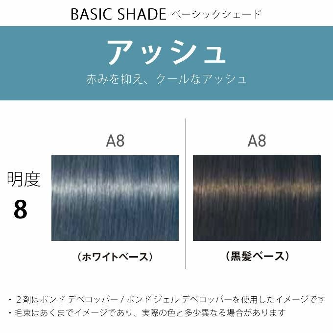 シュワルツコフ ファイバープレックス ボンドカラー A8 80g （第1剤