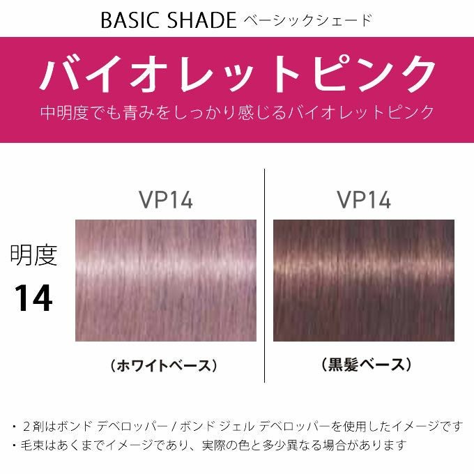 シュワルツコフ ファイバープレックス ボンドカラー VP14 80g （第1剤