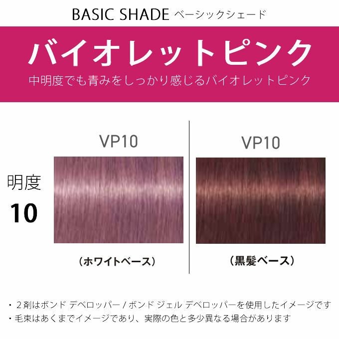 シュワルツコフ ファイバープレックス ボンドカラー VP10 80g （第1剤