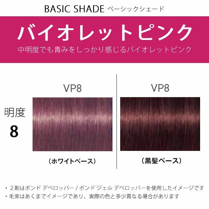 シュワルツコフ ファイバープレックス ボンドカラー VP8 80g （第1剤