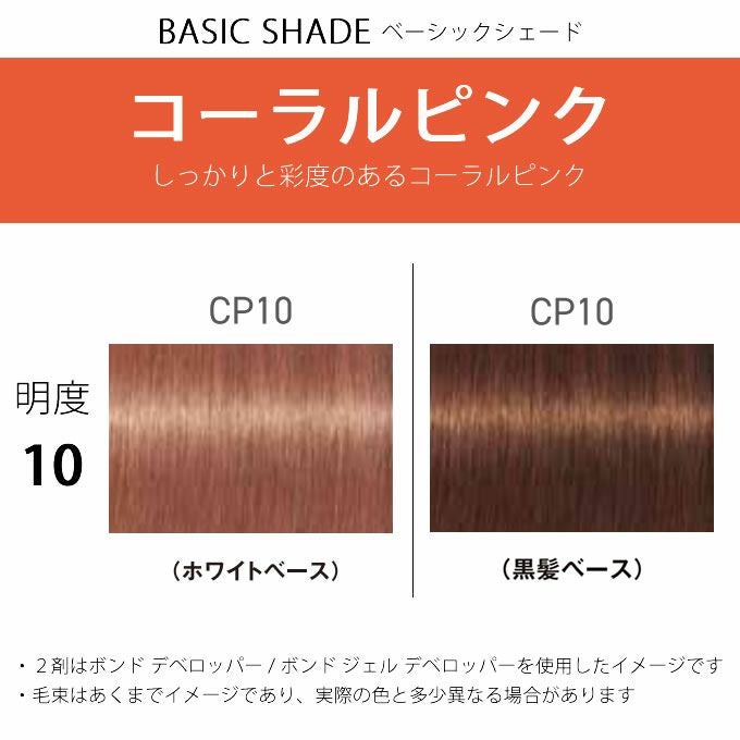 シュワルツコフ ファイバープレックス ボンドカラー CP10 80g （第1剤