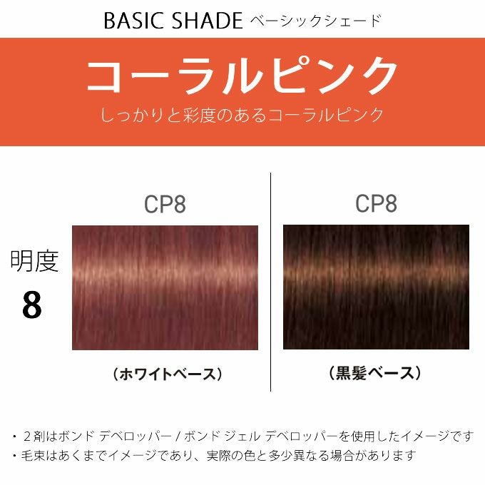 シュワルツコフ ファイバープレックス ボンドカラー CP8 80g （第1剤