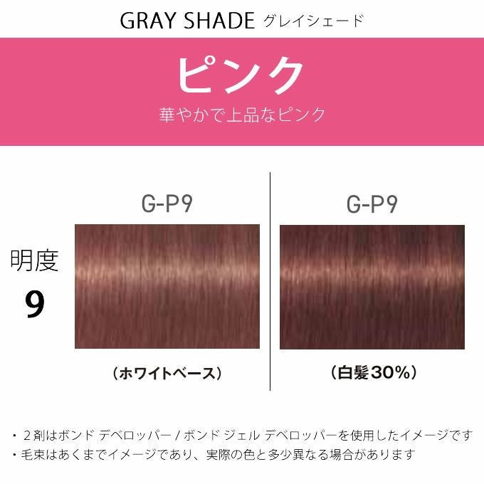 シュワルツコフ ファイバープレックス ボンドカラー G-P9 80g （第1剤