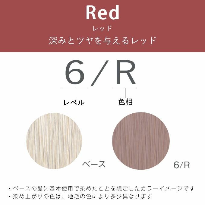 ナンバースリー ヒュウ グロス 6/R レッド 60mL（第1剤） 医薬部外品