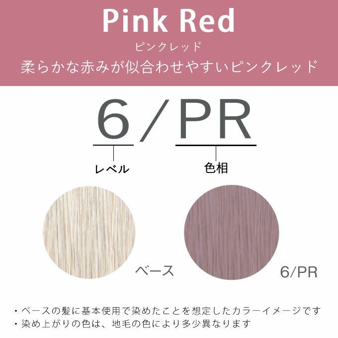 ナンバースリー ヒュウ グロス 6/PR ピンクレッド 60mL（第1剤） 医薬