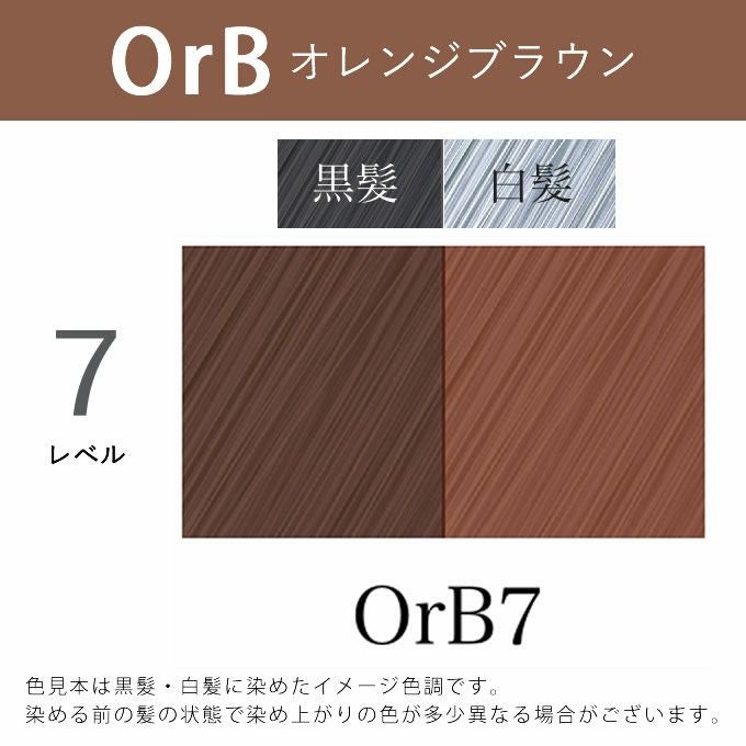 アペティート化粧品 プロクリスタル ノンジアミンカラー ヘルバ OrB7