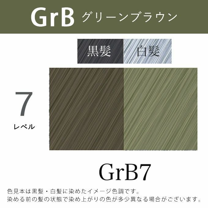 アペティート化粧品 プロクリスタル ノンジアミンカラー ヘルバ GrB7