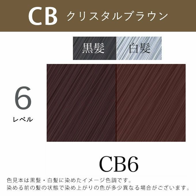 アペティート化粧品 プロクリスタル ノンジアミンカラー ヘルバ CB6