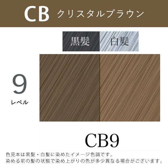 アペティート化粧品 プロクリスタル ノンジアミンカラー ヘルバ CB9