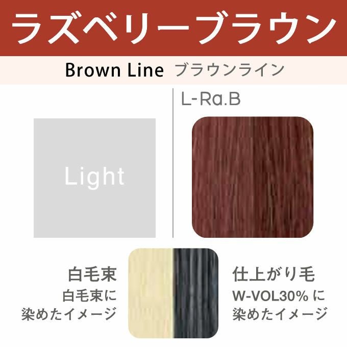 アリミノ カラーストーリー オアシック L-Ra.B ラズベリーブラウン