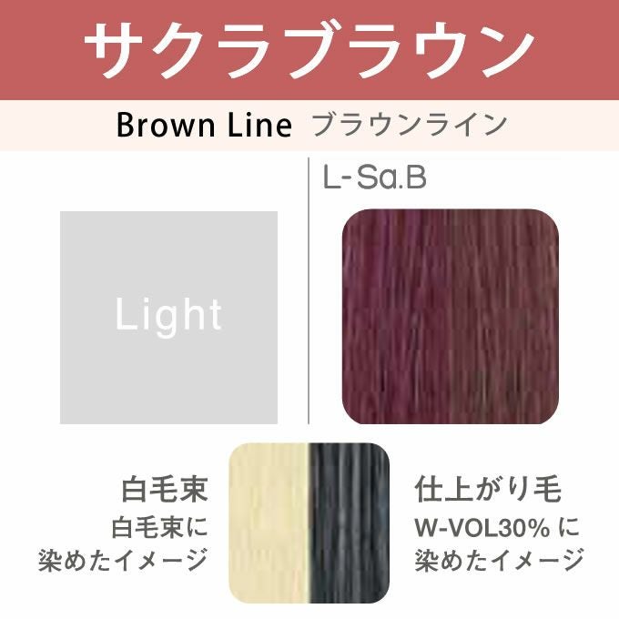 アリミノ カラーストーリー オアシック L-Sa.B サクラブラウン 150g