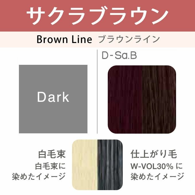 アリミノ カラーストーリー オアシック D-Sa.B サクラブラウン 150g