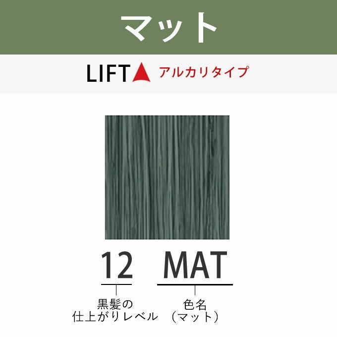 アリミノ アジアンカラーフェス 12MAT マット 85g （第1剤） 医薬部外