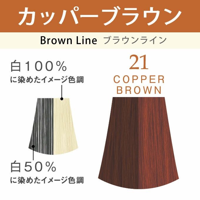 ナプラ N. エヌドット アシッドカラー カッパーブラウン 190g｜美容室