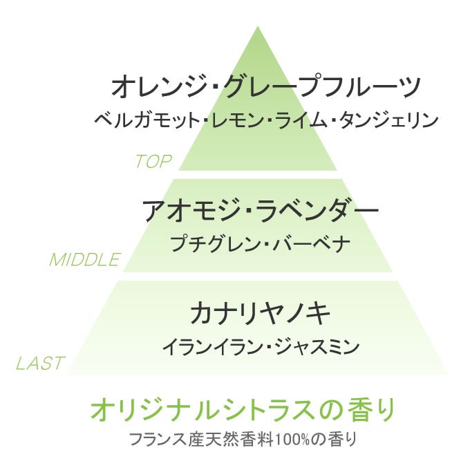 アジュバン CLass S Sb シャンプー 1000mL(業務用詰替)｜美容室専売