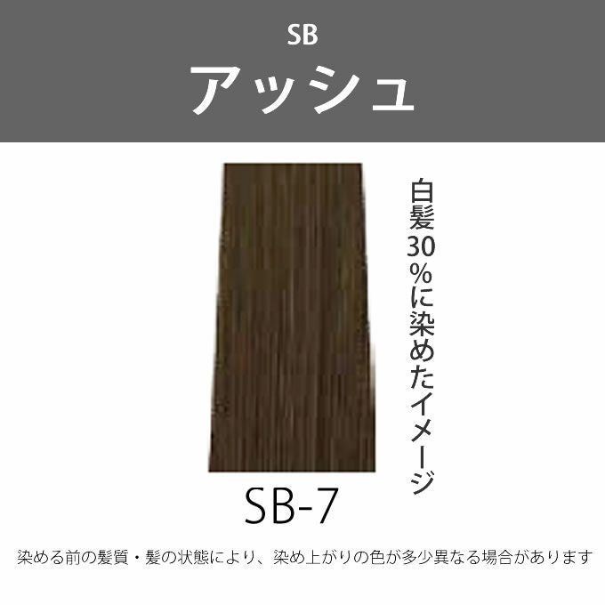 ティアーズ WELL＆WELL ウェル＆ウェル スピーディーヘアカラー SB-7