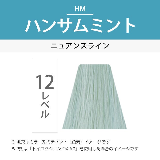 デミ トイロクション 12/HM（ハンサムミント）第1剤 80g 医薬部外品