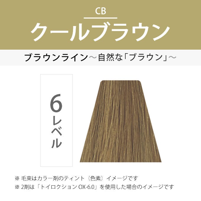 CB-6 カラーリング剤 デミ トイロクション 6/CB（クールブラウン）第1剤 80g 医薬部外品
