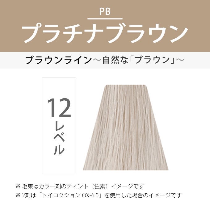 デミ トイロクション 12/PB（プラチナブラウン）第1剤 80g 医薬部外品