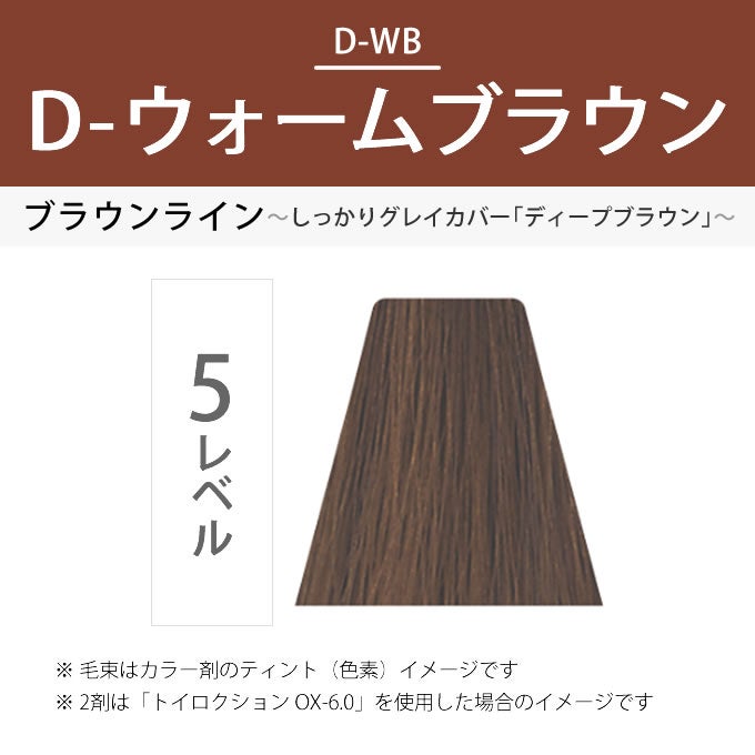 デミ トイロクション D-5/WB（D-ウォームブラウン）第1剤 80g 医薬部外