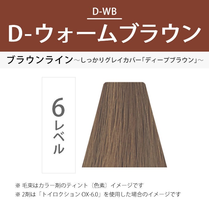 デミ トイロクション D-6/WB（D-ウォームブラウン）第1剤 80g 医薬部外