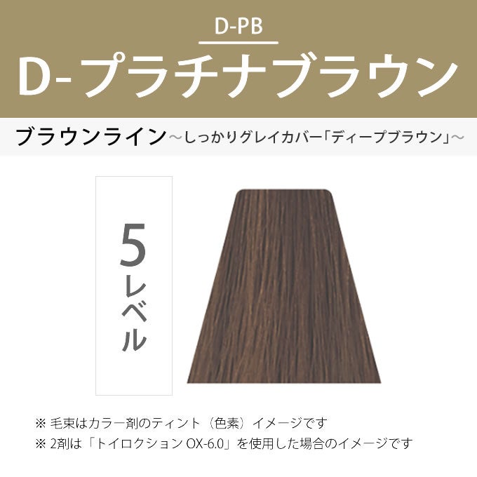 デミ トイロクション D-5/PB（D-プラチナブラウン）第1剤 80g 医薬部外