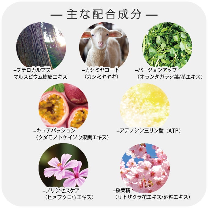 putelo プテロ AR シャンプー 1500mL (詰替) 業務用｜美容室専売品の