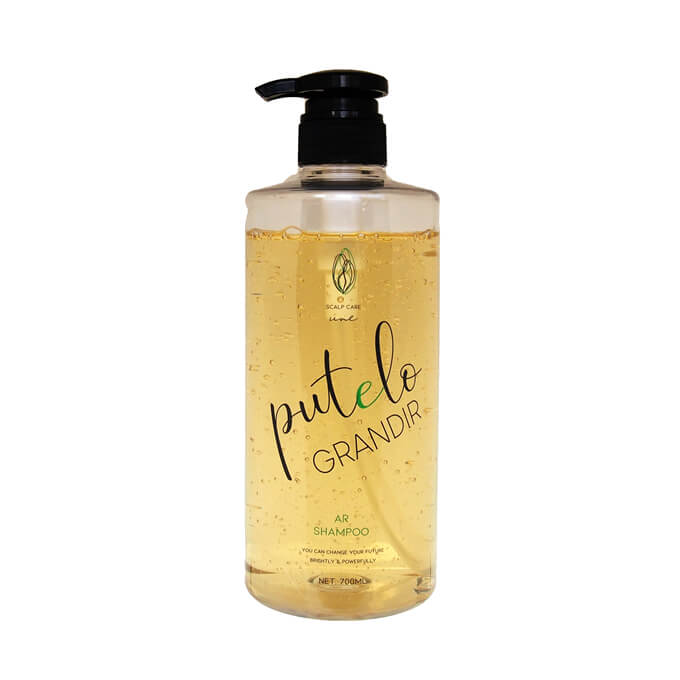 putelo プテロ AR シャンプー グランディール 700mL