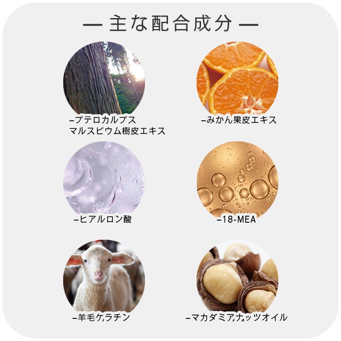 putelo プテロ AR ヘア＆スカルプパック グランディール 240g｜美容室