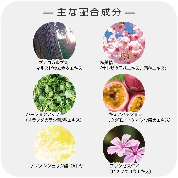 putelo プテロ AR エッセンスplus+ 140mL｜美容室専売品のナカノザ