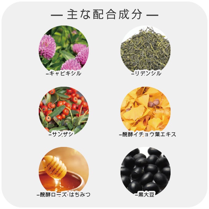 putelo プテロ AR エッセンスUprise 500mL (詰替) 業務用｜美容室専売
